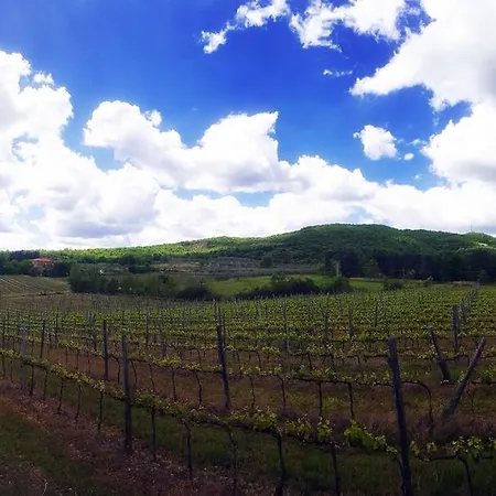 Agriturismo La Cella * Arezzo