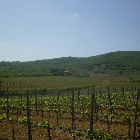 Agriturismo La Cella Farm stay *